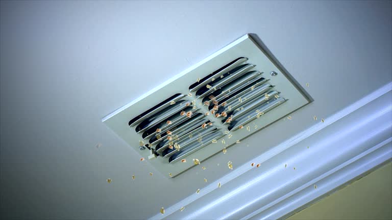 Best Professional Duct Cleaning Services  in Bluefield, WV
