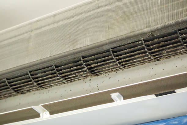 Best Air Vent Cleaning Services  in Bluefield, WV